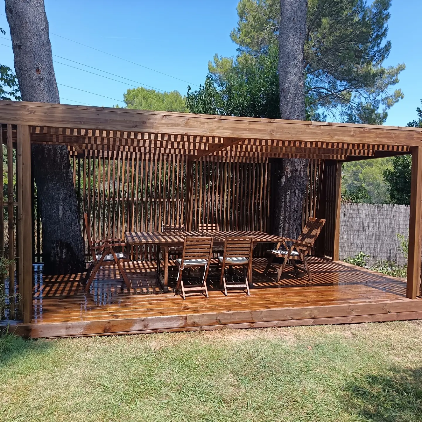 Pergola en bois construite autour de deux pins, vue 1