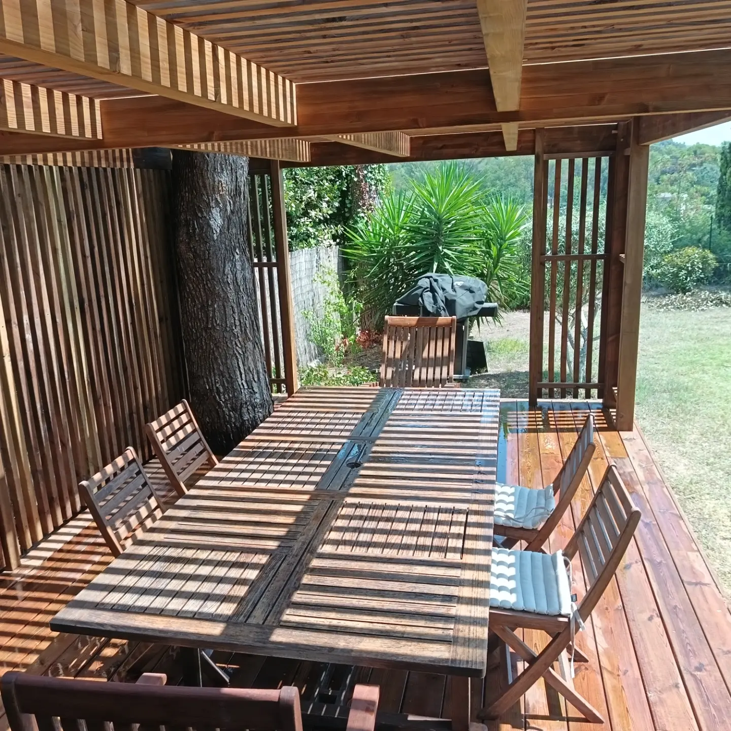Pergola en bois construite autour de deux pins, vue 3