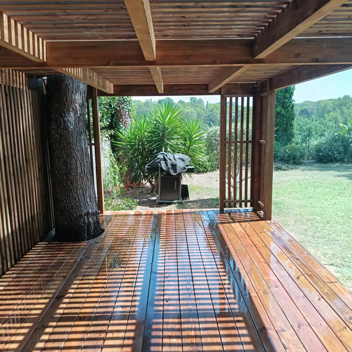 Pergola en bois construite autour de deux pins, vue 5